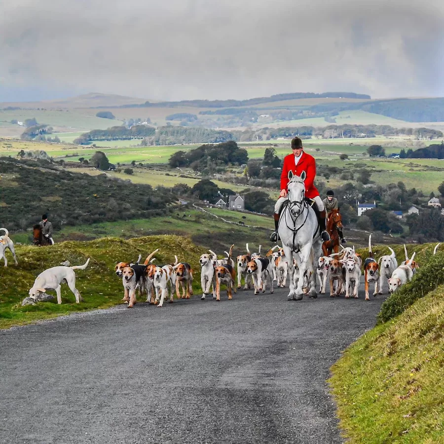 Auction – South Devon Hunt